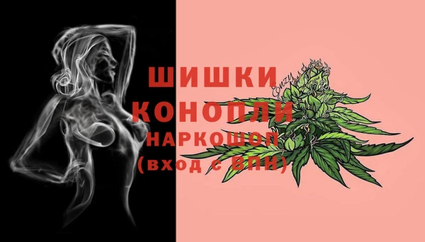 гидропоника Дмитров