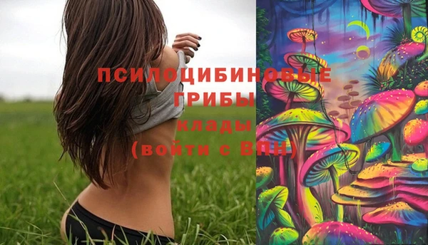 мдпв Елабуга
