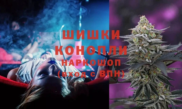 метадон Ельня